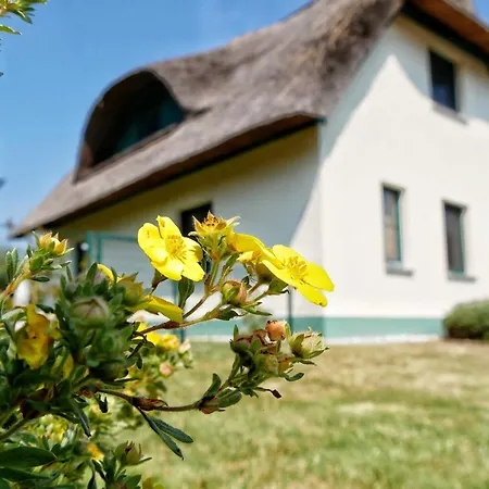 Scharmuetzelsee Holiday home